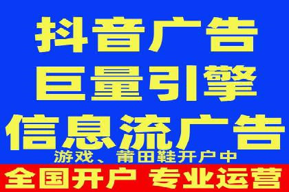 百度广告投放策略与效果评估案例